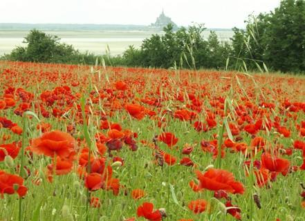 La Greve Saint Michel Holiday home *
